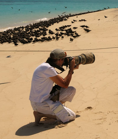 Photographing birds at the Great Barrier Reef.